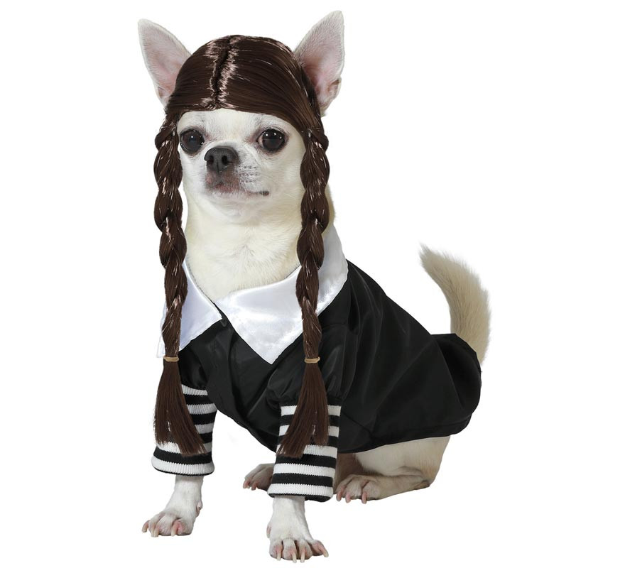 Creepy Girl Dog Costume with Wig