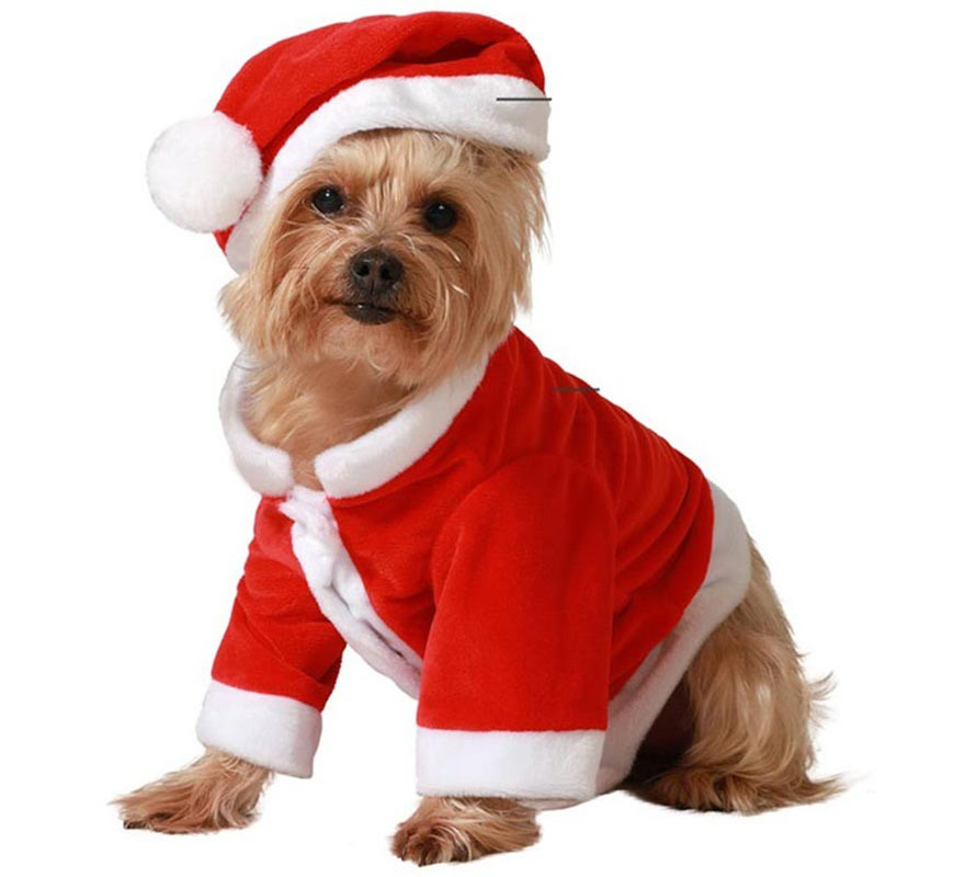 Classic red Santa Claus dog costume