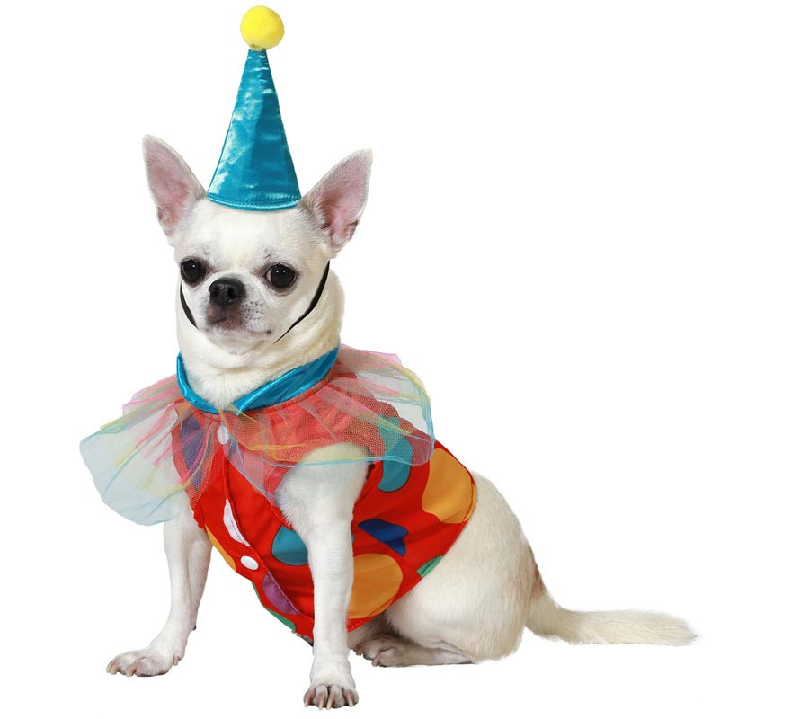 Clown costume with hat for dogs