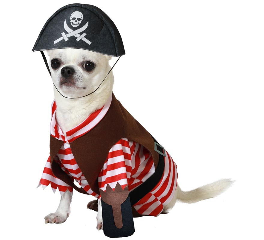 Patapalo Pirate costume for dogs