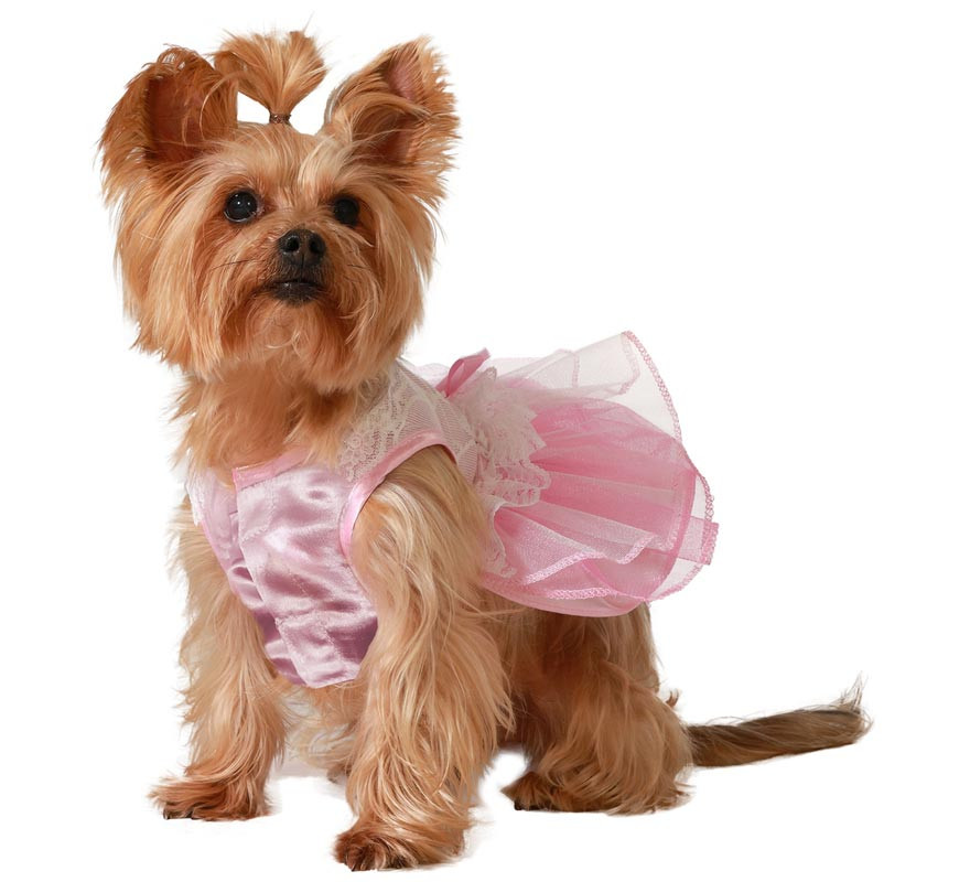 Pink Princess Dog Costume