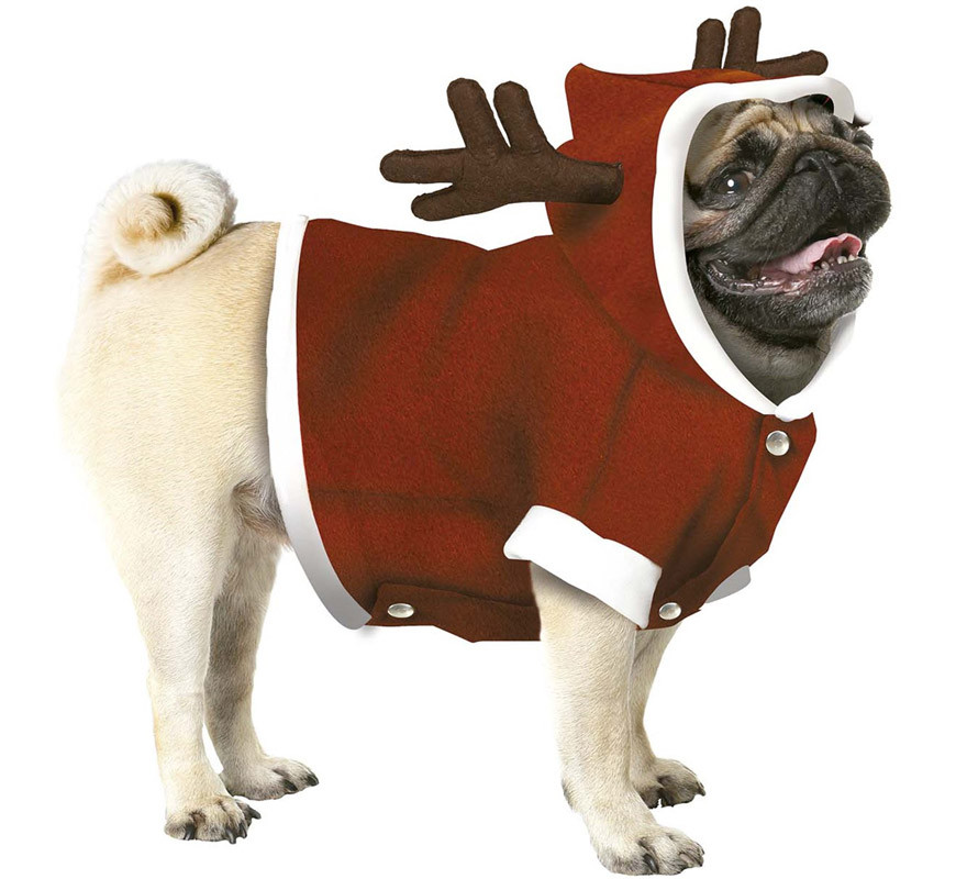 secuencia estaño Marcha mala Disfraz de Reno de Papá Noel para perro