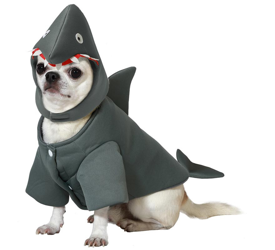 Shark costume for dogs