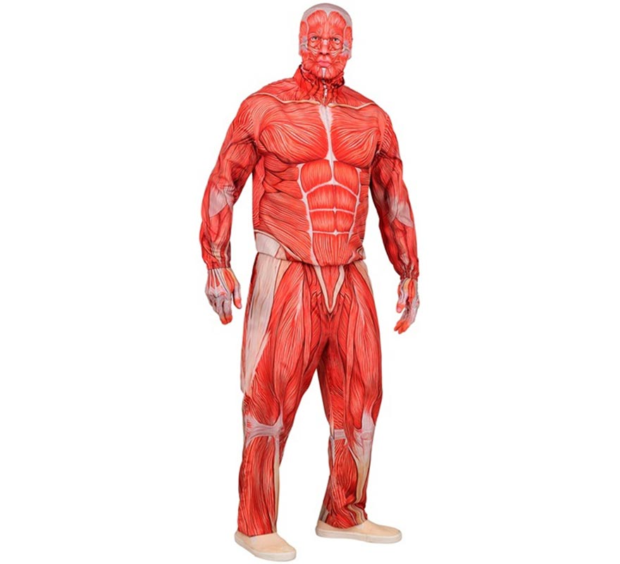 Disfraz Express de Anatómico con Músculos para hombre