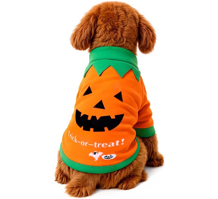Pumpkin Mascot Costume