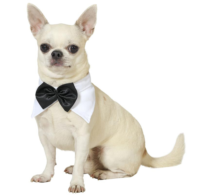 Costume or Collar with Bow Tie for Dog