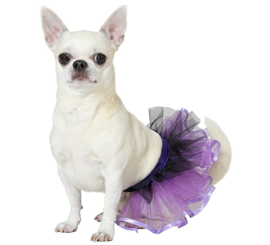 Purple dog costume or tutu