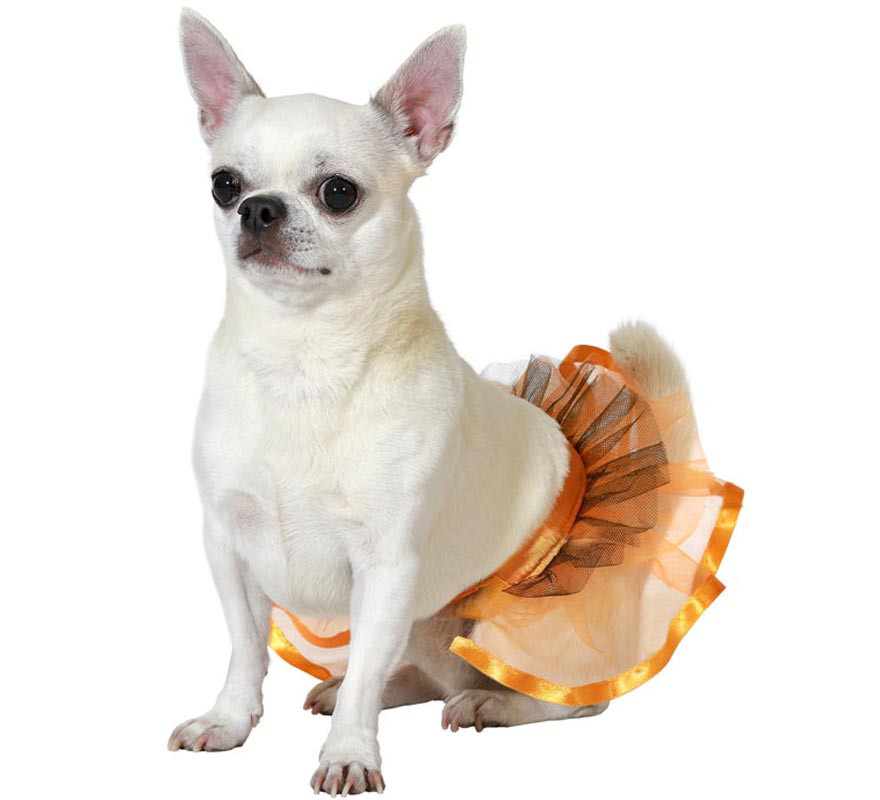 Orange dog costume or tutu