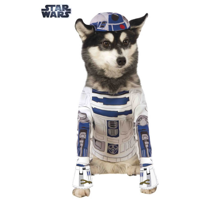 Tristemente personal Indica Disfraz Robot R2-D2 de Star Wars para perro