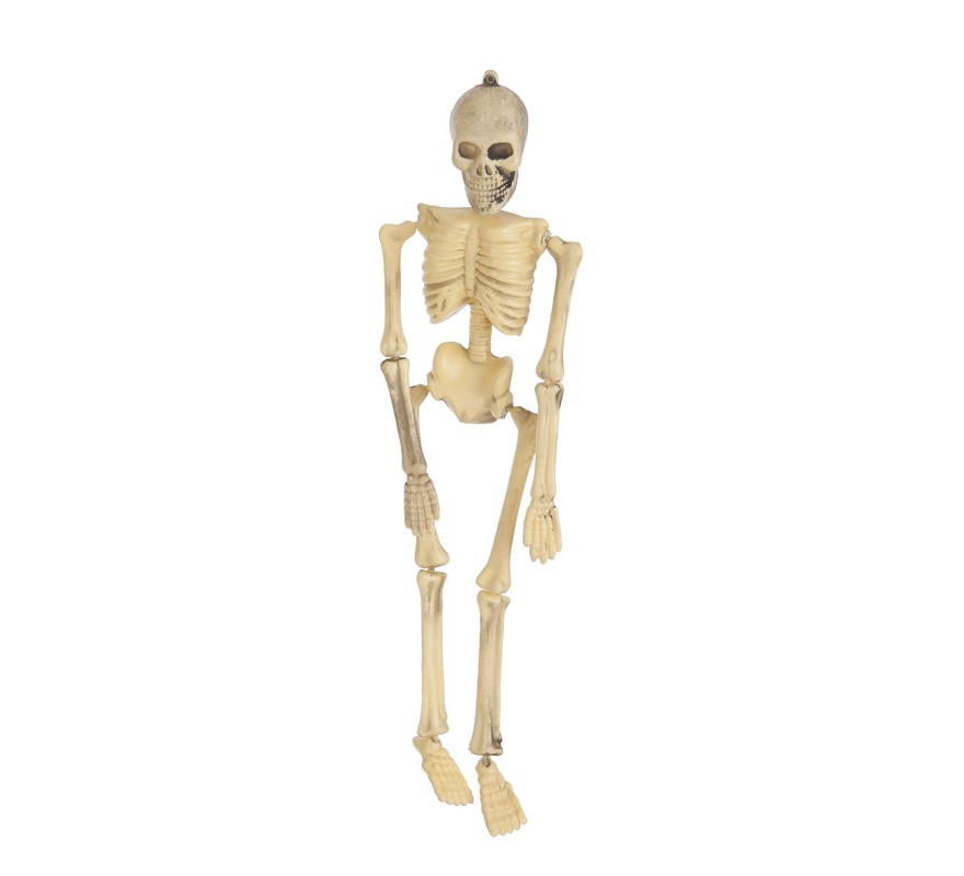 Esqueleto 43 cm