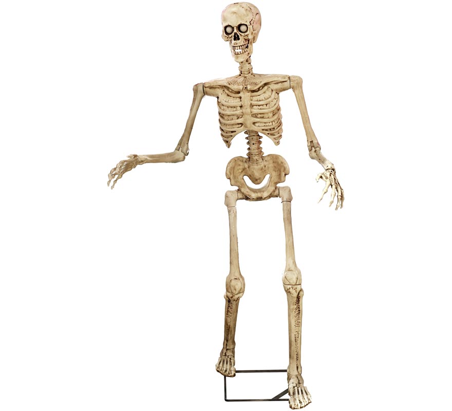 Animated Skeleton with Light, Sound and Motion Sensor 85x55x155