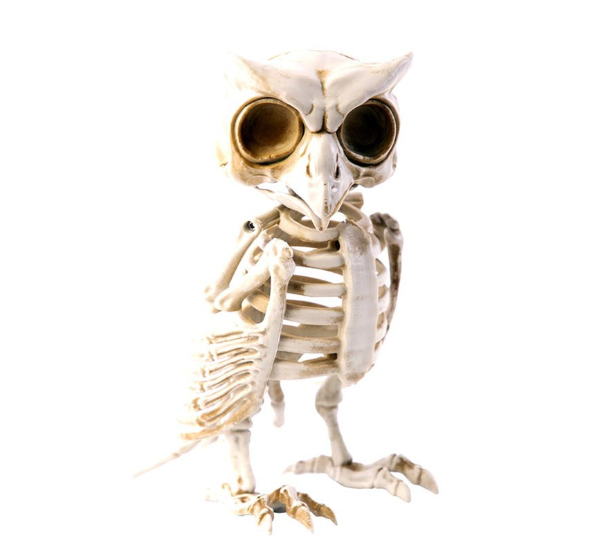 16.5x10x10 cm Dark Owl Skeleton