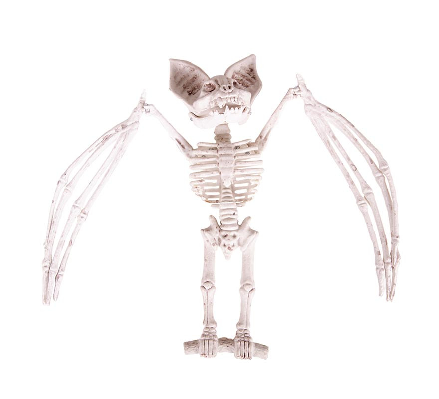 Bat Skeleton 27x11x7 cm