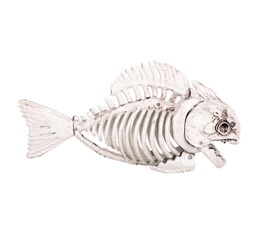 Piranha Skeleton 25x7x12 cm