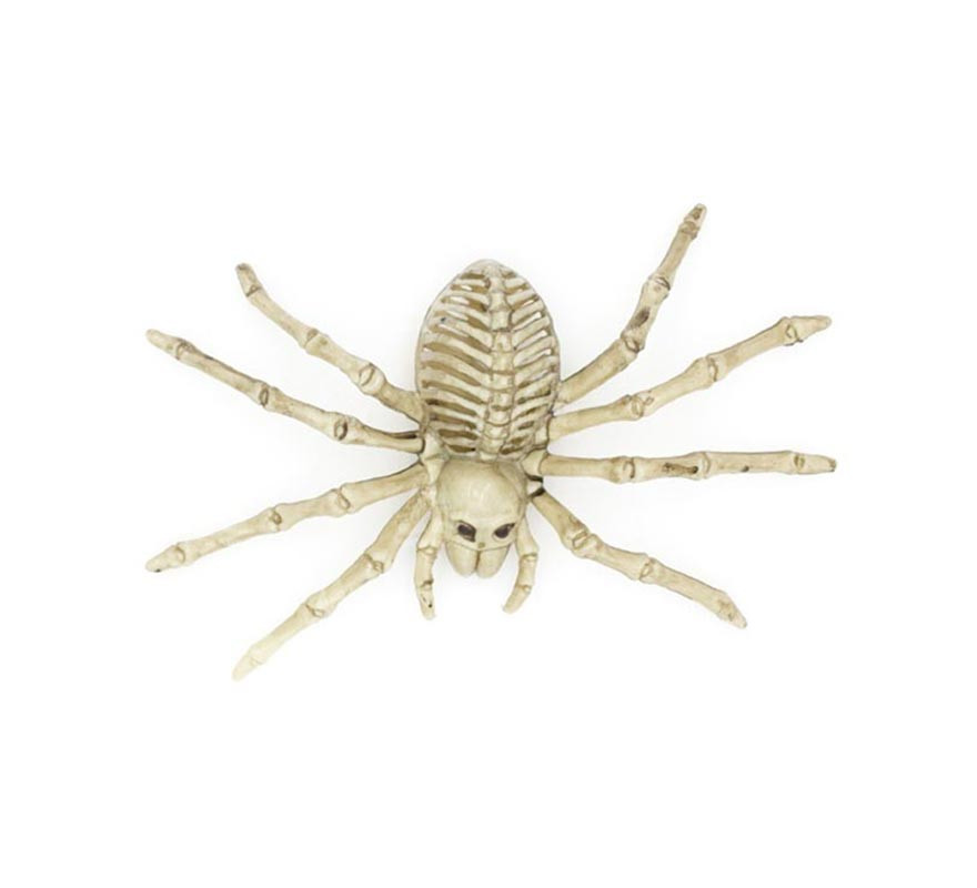 Beige Tarantula Skeleton