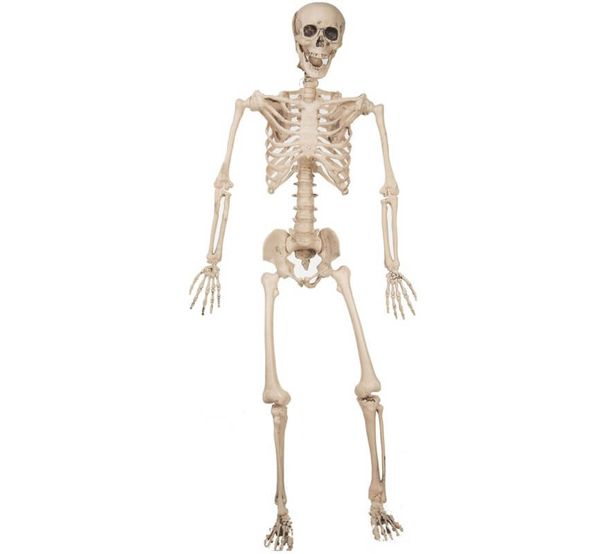 120 cm decorative skeleton