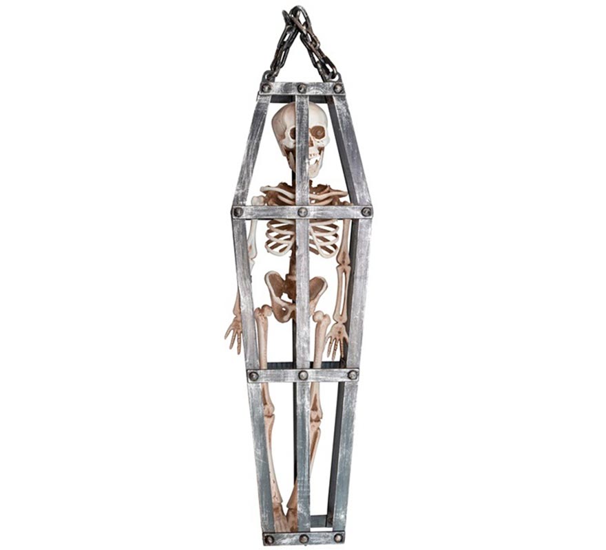 Squelette en cage de 50 cm