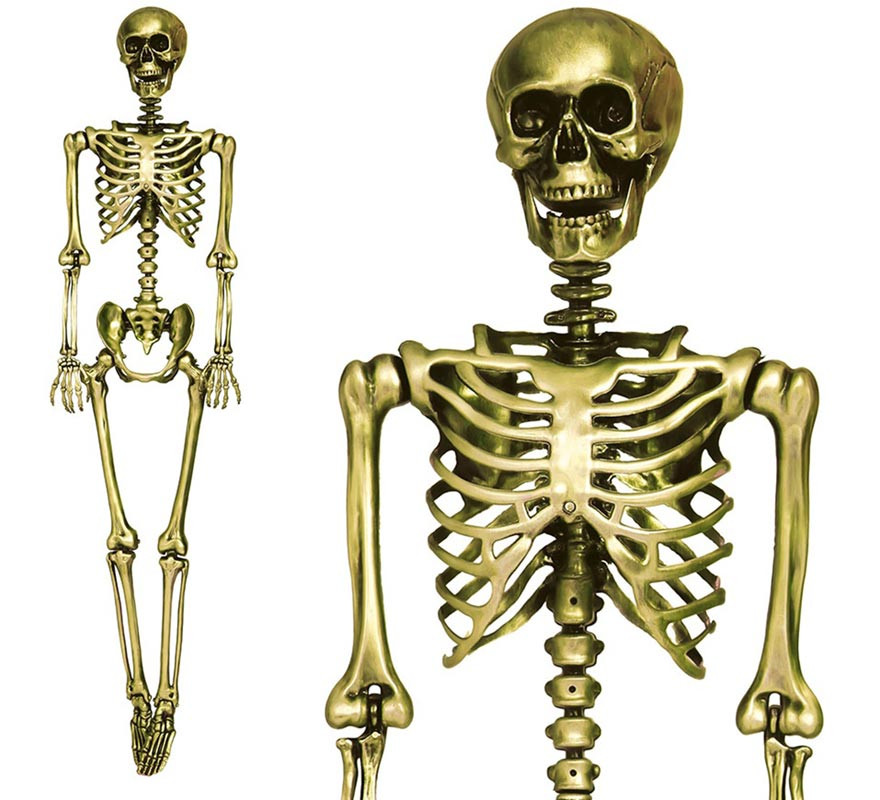 Gold skeleton 160 cm