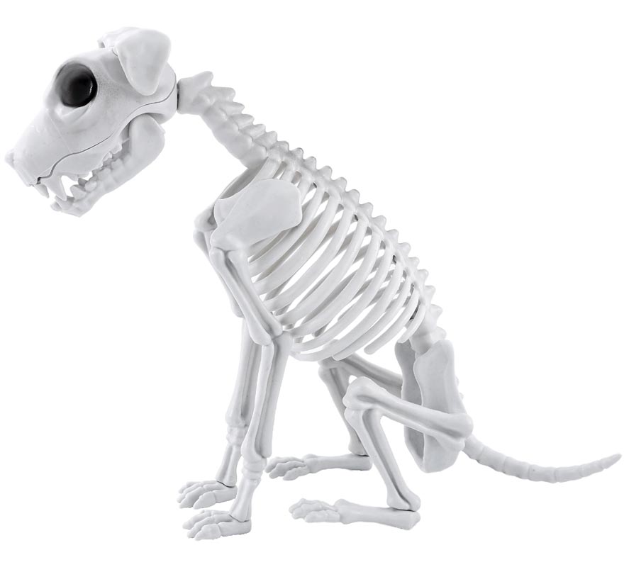 Esqueleto de cachorro Esqueleto de cachorro