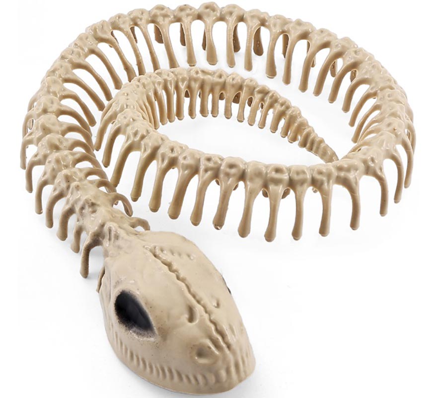 Snake Skeleton