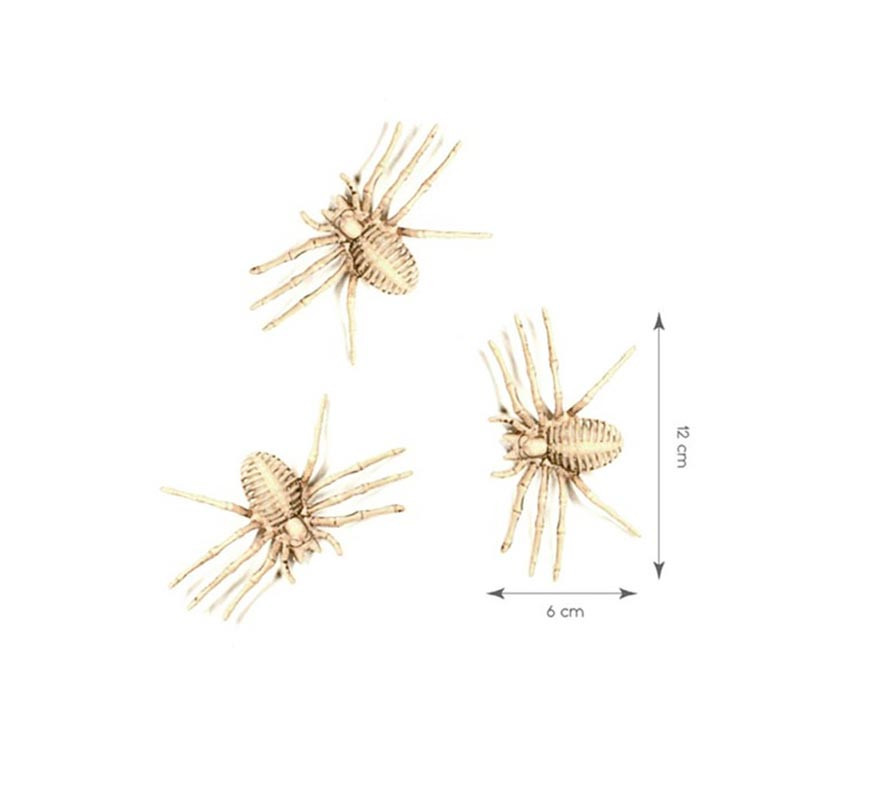 Skeletons of 3 Spiders of 6x12 cm