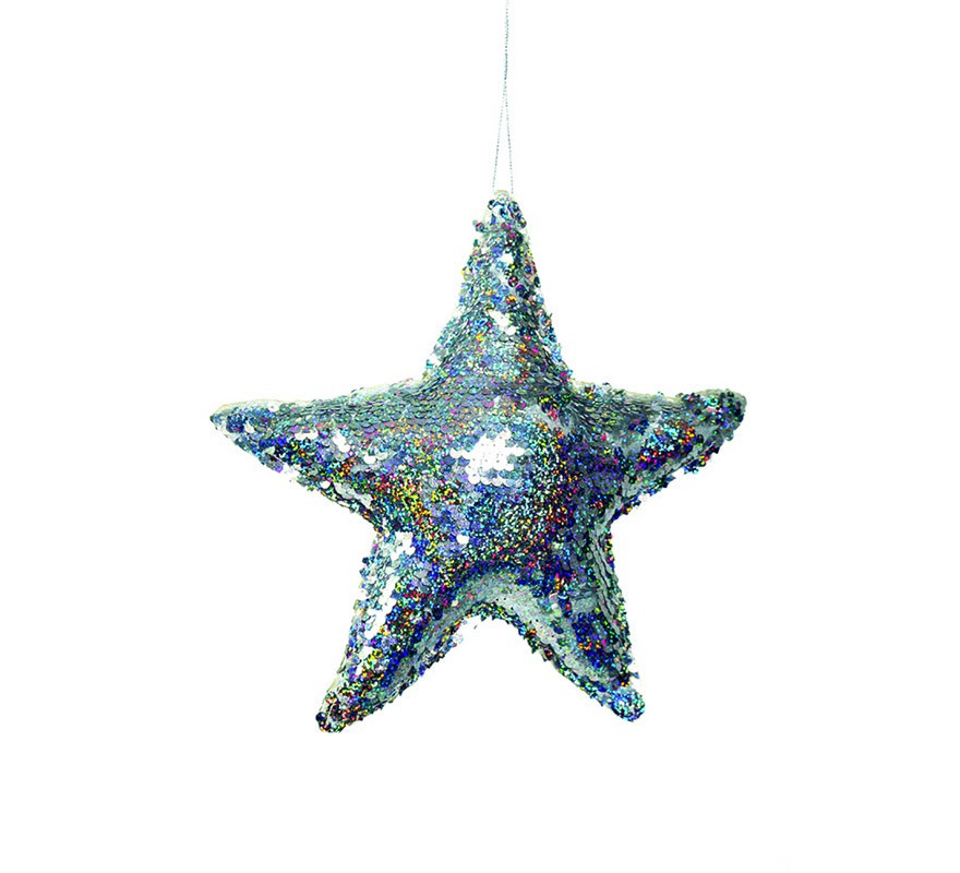 Silver Sequin Star 20 cm