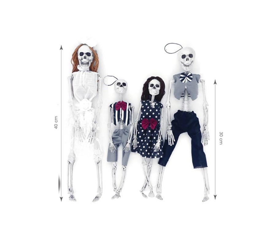 Family of 4 Skeletons of 40 cm