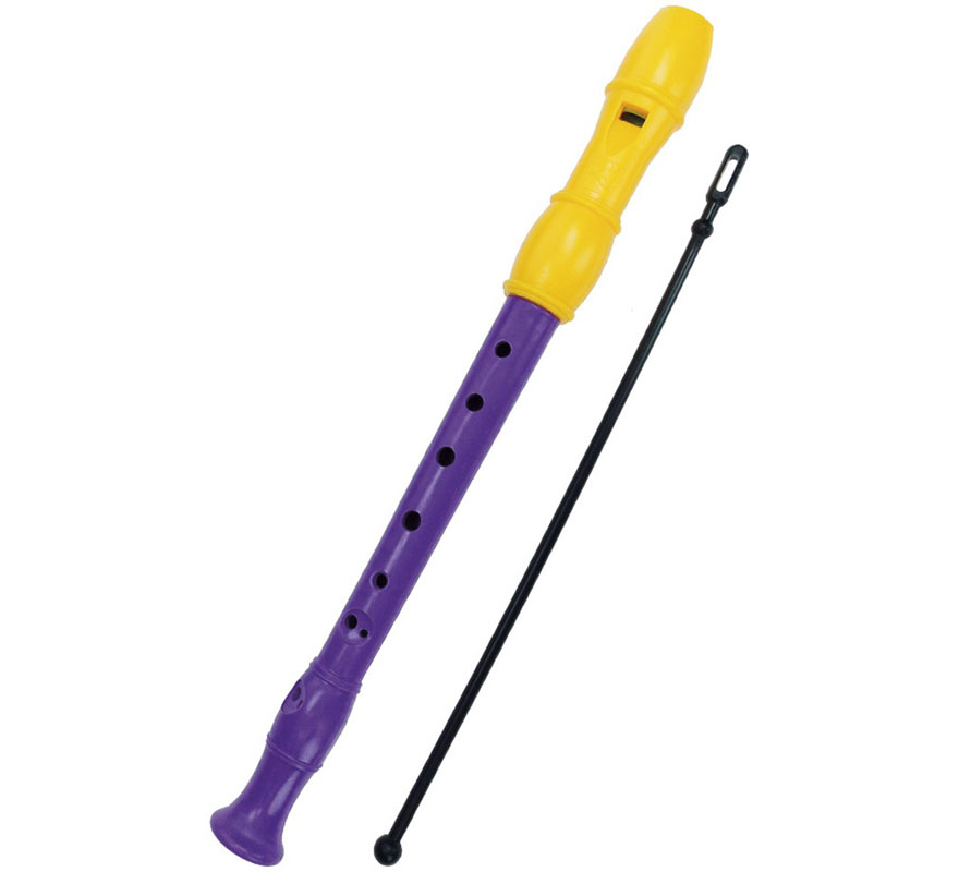 Flauta de Pico con Método y Limpiador en Estuche