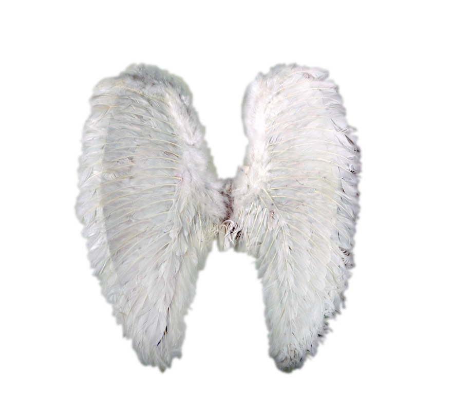 Alas de Angel de plumas blancas de 54x50 cms.