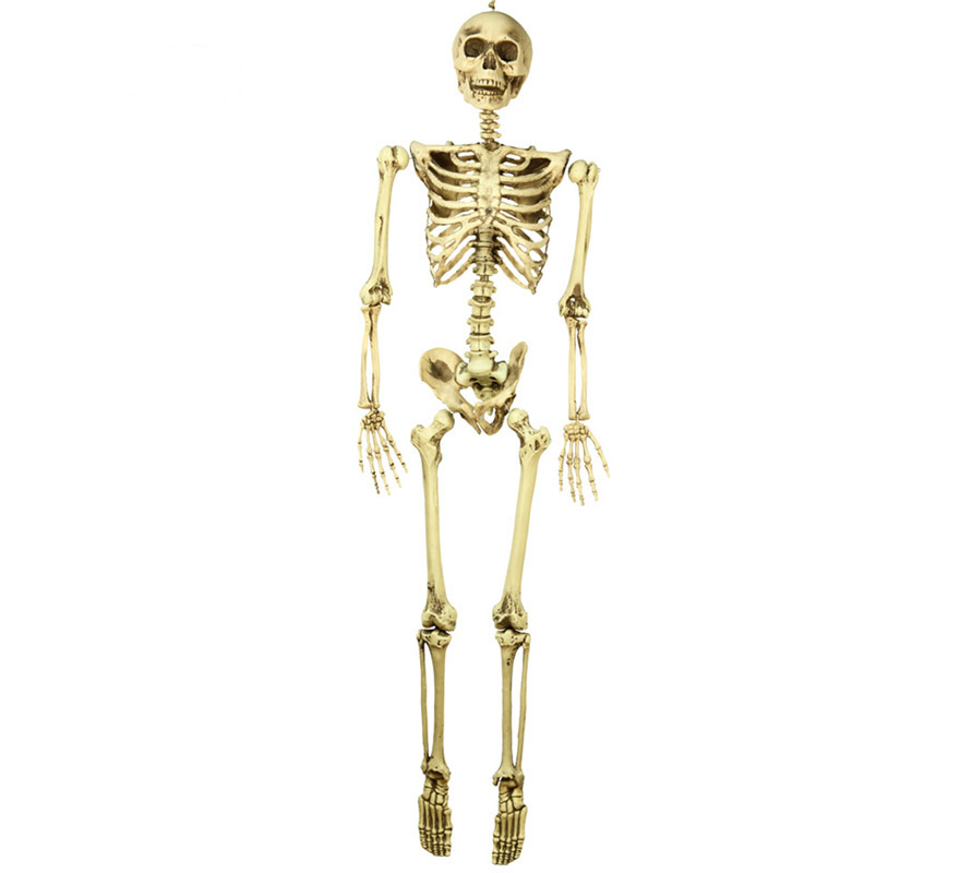 Colgante Esqueleto de 160 cm para Halloween