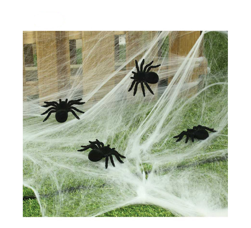 Blister de 2 Arañas de 10 cm para Halloween