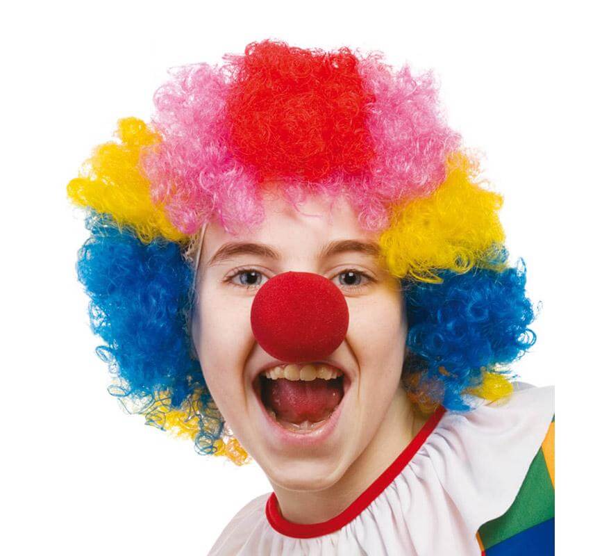 Parrucca Clown Multicolore