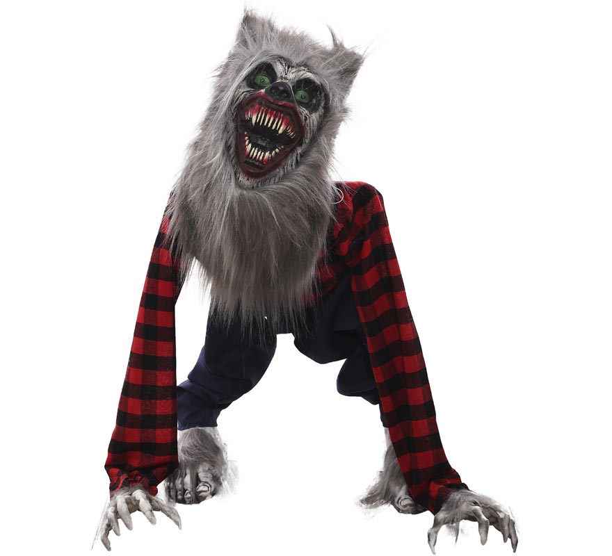 Animated Werewolf 45x50x76 cm