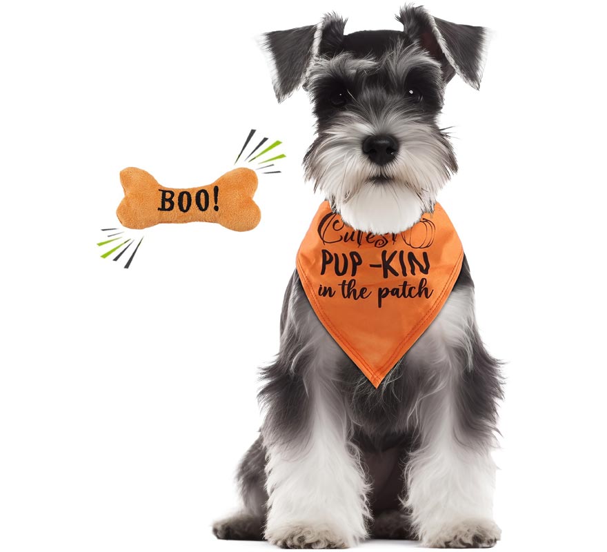 Dog Pumpkin Kit: Bandana and Bone
