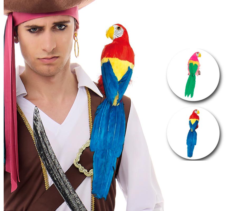 Perroquet Pirate en modèles assortis de 50 cm