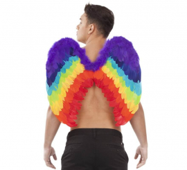 Rainbow Angel Wings