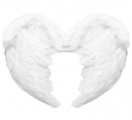 White Feather Angel Wings 37X50 cm