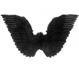 Ailes noires avec plumes 78x36 cm