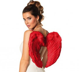 Red Feather Wings in the shape of a Heart 50x35 cm