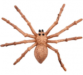 Brown spider 15x11.5 cm
