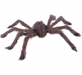 75cm Hairy Brown Spider