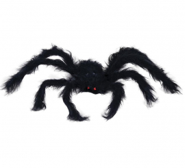 30cm black spider