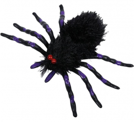 Black and Purple Spider 18x12 cm