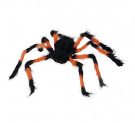 75 cm große orange-schwarze Haarspinne