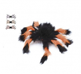 Orange and black hairy spider 50 cm