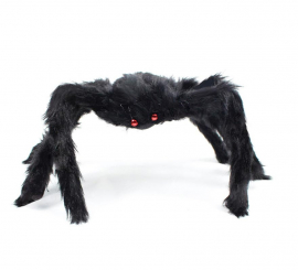 Black hairy spider red eyes 50 cm