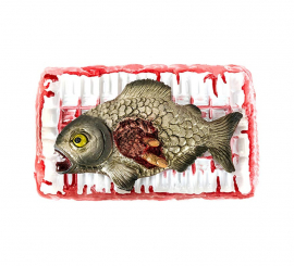 Zerlegtes Piranha-Tablett