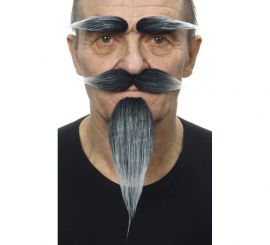 Mustache with Goatee and Gray Eyebrows