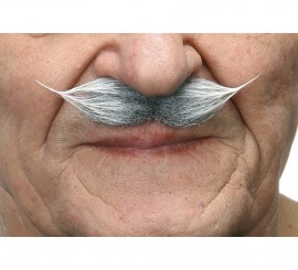 Moustache cheveux gris