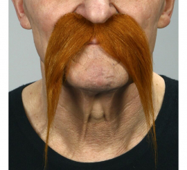 Moustache de Viking Châtain